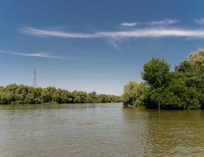 excursii-cu-barca-in-delta-dunarii-1-qu1f8kj84db24m510rztazncd2x9623c1umlvtu13c