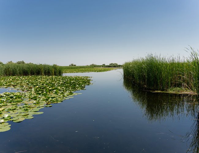 excursii-cu-barca-in-delta-dunarii-14-qu1f965ihk4njn9mijc8ec6y0xyp33h5stmrx6xz48