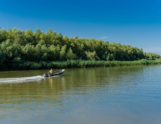 excursii-cu-barca-in-delta-dunarii-32-qu1fa240xxceidz7bx5jr44m81l6ct0197ta8lml8o