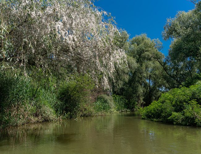 excursii-cu-barca-in-delta-dunarii-5-qu1f8r43g7k2dvvgycu7afzkis0tnxtger708rk9vs